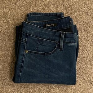 Talbots Dark Blue Skinny Crop Jeggings